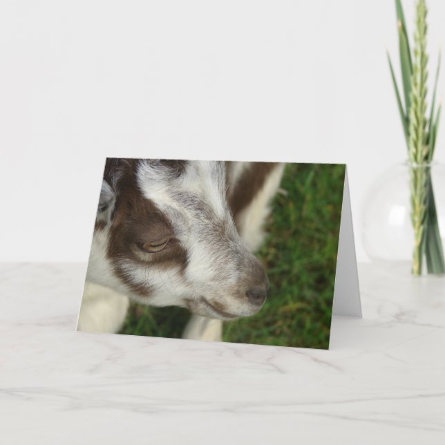 Carte Dopey (Devant)