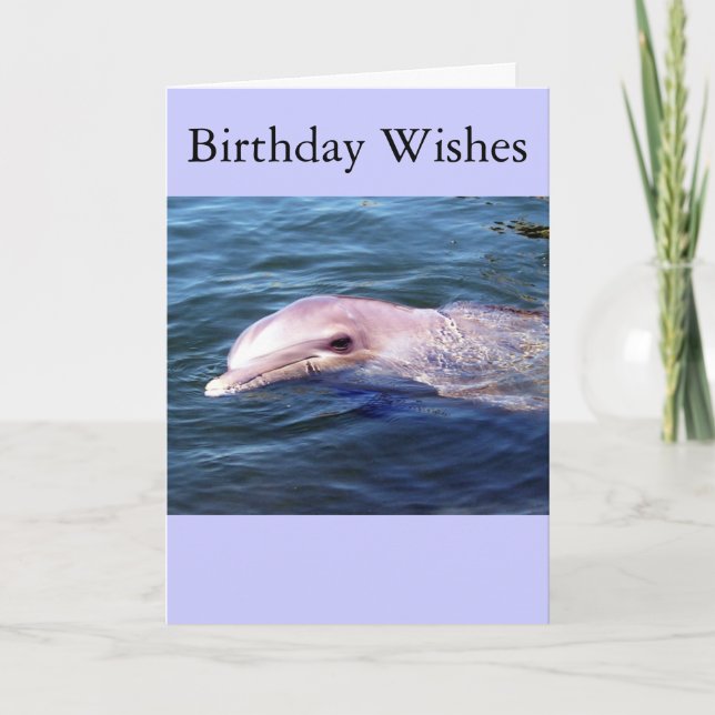 Carte Dophin sauvage (Devant)