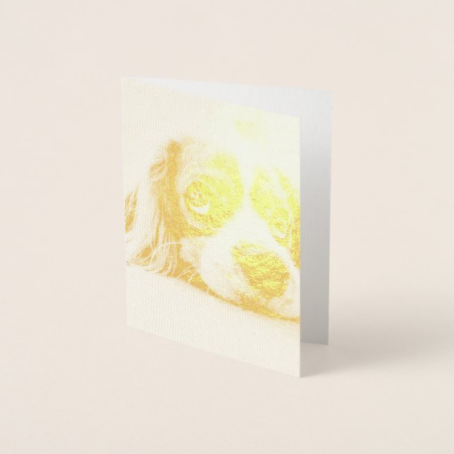 Carte Dorée Chien Espagnol Coqueur Triste (Devant)