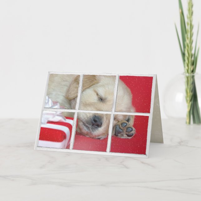 Carte dormant Golden Retriever dans la fenêtre avec cade (Devant)