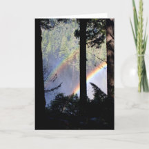 Double arc-en-ciel par des arbres