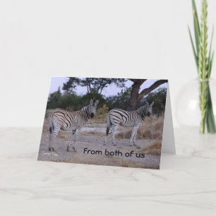 Carte Double Take Zebra Birthday Card