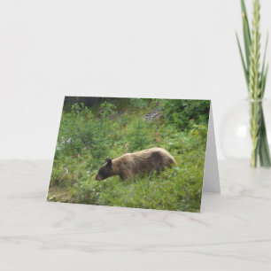Carte d'ours