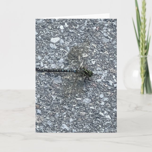 Carte Dragonfly (Devant)