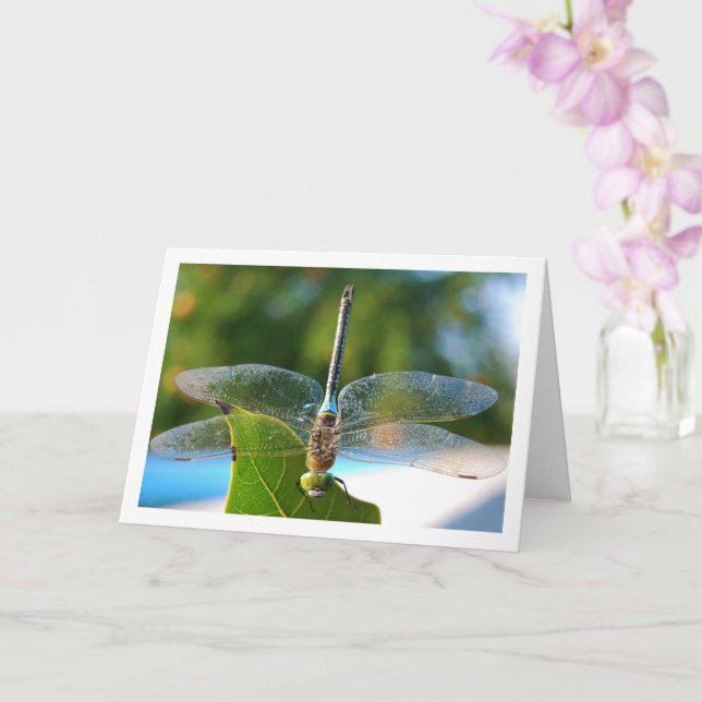 Carte Dragonfly sur la feuille verte (Orchidée)