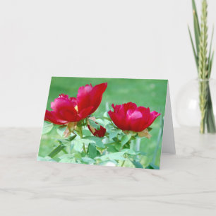 Carte Dragons, tigres et pivoines V