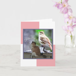 Carte Dream Big Ragdoll Chat Bird Note