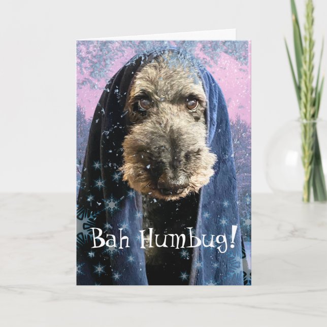 Carte Dream Christmas Bah Humbug Schnauzer (Devant)