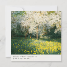 Dreamy and soft Spring Blossoms aesthetic greeting