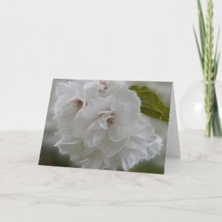 Carte Dreamy Cherry Blossoms AH2010