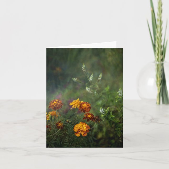 Carte Dreamy marigold fine art photo (Devant)