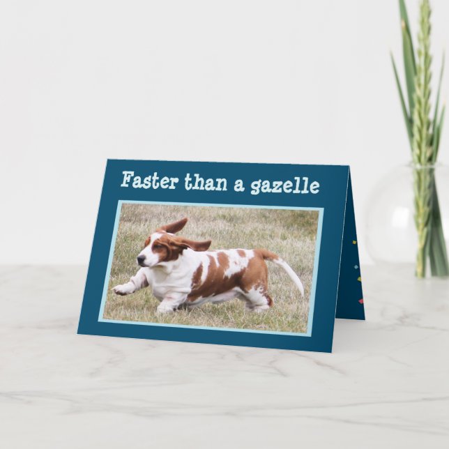 Carte drôle avec "le basset d'anniversaire " (Devant)