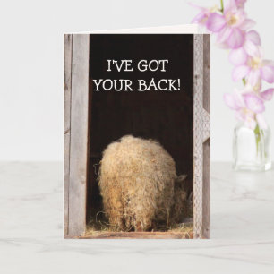 Carte Drôle Cancer Encouragement Mouton