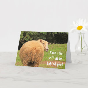 Carte Drôle Cancer Mouton Encouragement