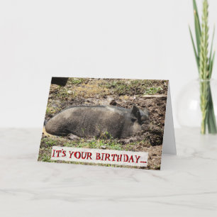 Carte Drôle C'est ton anniversaire Go Hog Wild