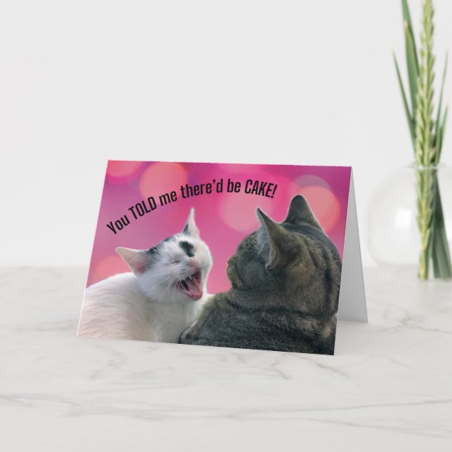 Carte Drôle Chats tu m'as dit qu'il y aurait un jour de  (Devant)