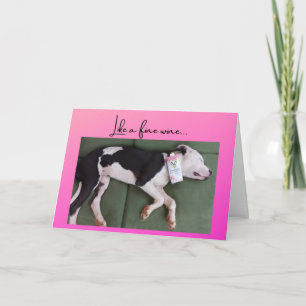 Carte Drôle chien d'anniversaire avec boîte à vin