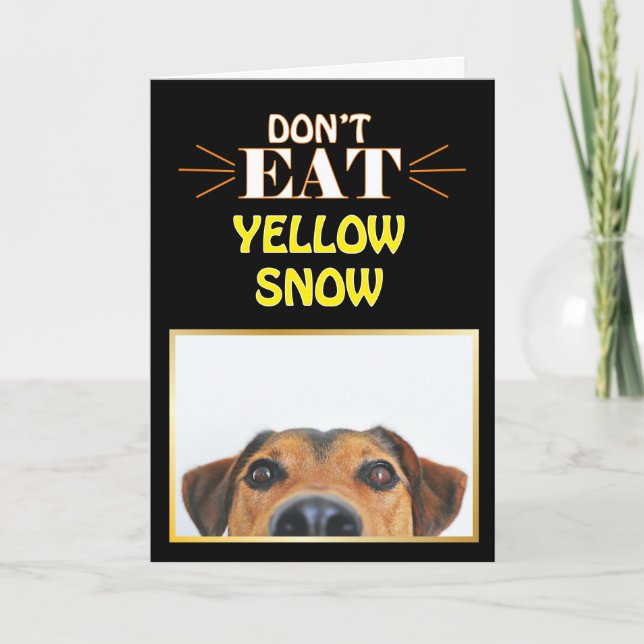 Carte Drôle chien de Noël Ne mangez pas de gag de neige  (Devant)