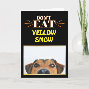 Carte Drôle chien de Noël Ne mangez pas de gag de neige 