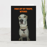 Drôle Chien Éffrayant Paws Off Mes Traitements Hal