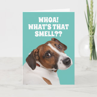 Carte Drôle Chien odorant pour l'Anniversaire du Vieux P