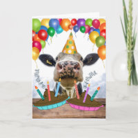Drôle Cow Pies Herd C'Était Yan Anniversaire