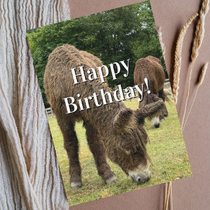 Carte drôle d'anniversaire d'âne de ferme drôle de
