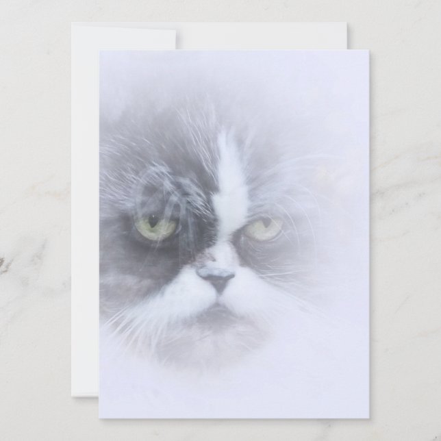 Carte drôle de chat perse avec de grands yeux (Devant)