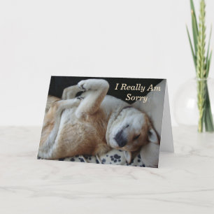 Carte drôle de photo de chien mignonne akita exprimer