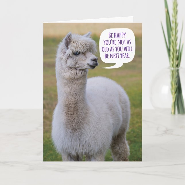Carte Drôle Dolly Llama Anniversaire Sagesse (Devant)