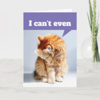 Drôle Drama Chat - Je ne peux même pas Anniversair