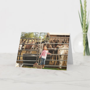 Carte Drôle Femme DVM Graduate Western Félicitations