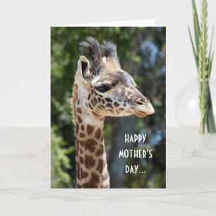Carte Drôle Giraffe Fête des Mères, du mignon ! #2