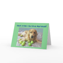 Drôle Golden Retriever avec balles de tennis Anniv