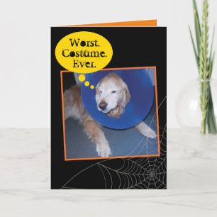 Carte Drôle Golden Retriever Halloween Cone de honte