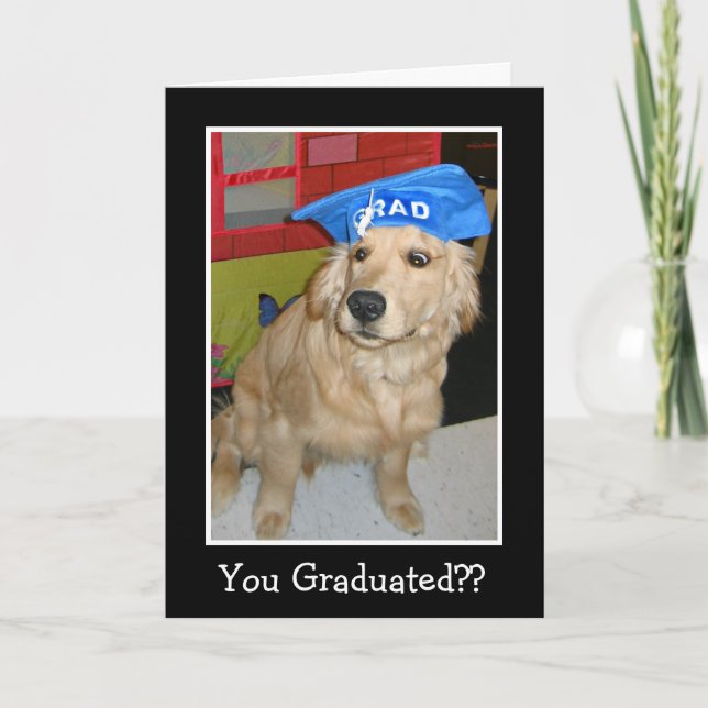 Carte Drôle Golden Retriever Vous Diplômé (Devant)