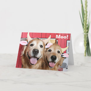 Carte Drôle Golden Retrivers en costumes de vache Hallow
