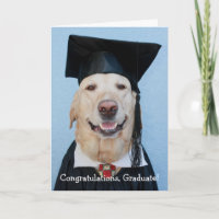 Drôle Graduation en laboratoire