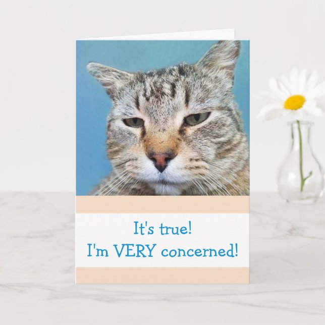 Carte Drôle grave inquiet Chat s'améliorer (Petite plante)