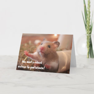 Carte Drôle hamster en cage prison bon comportement salu