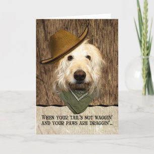 Carte Drôle Labradoodé Dans Cowboy Casquette Bandana Se 