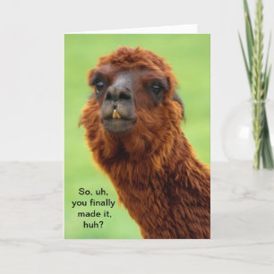 Carte Drôle Llama Graduation Card