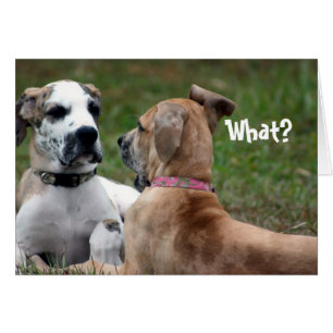 Carte drôle maladroite