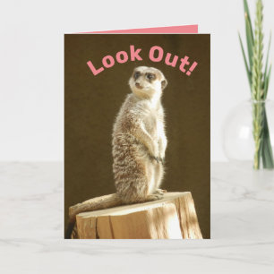 Carte Drôle Meerkat : Attention ! Vous êtes un enfant de