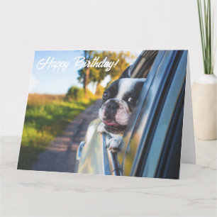 Carte Drôle mignon Happy French Bulldog Birthday Card