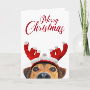 Carte Drôle mignon renne de chien Antler Headband Noël