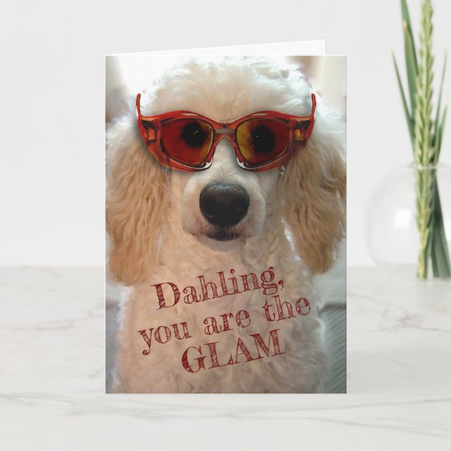 Carte Drôle Poodle Portant des Tons Lunettes de soleil C (Devant)