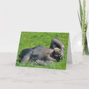 Carte Drôle Relaxant Chimpanzé Photo d'animal