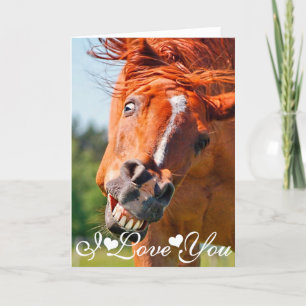 Carte Drôle rire Horse photo Je t'aime