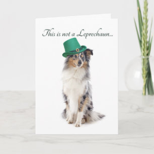 Carte Drôle Sheltie St. Patrick's Day Card
